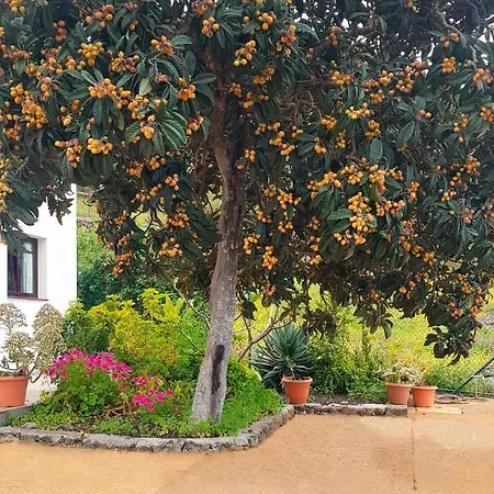 Casa El Nisperero Holiday home